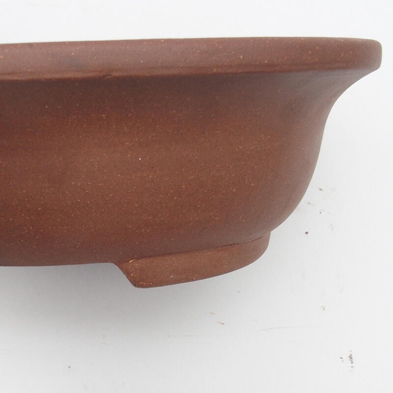 Bonsai bowl 34 x 27 x 10 cm - Japanese quality