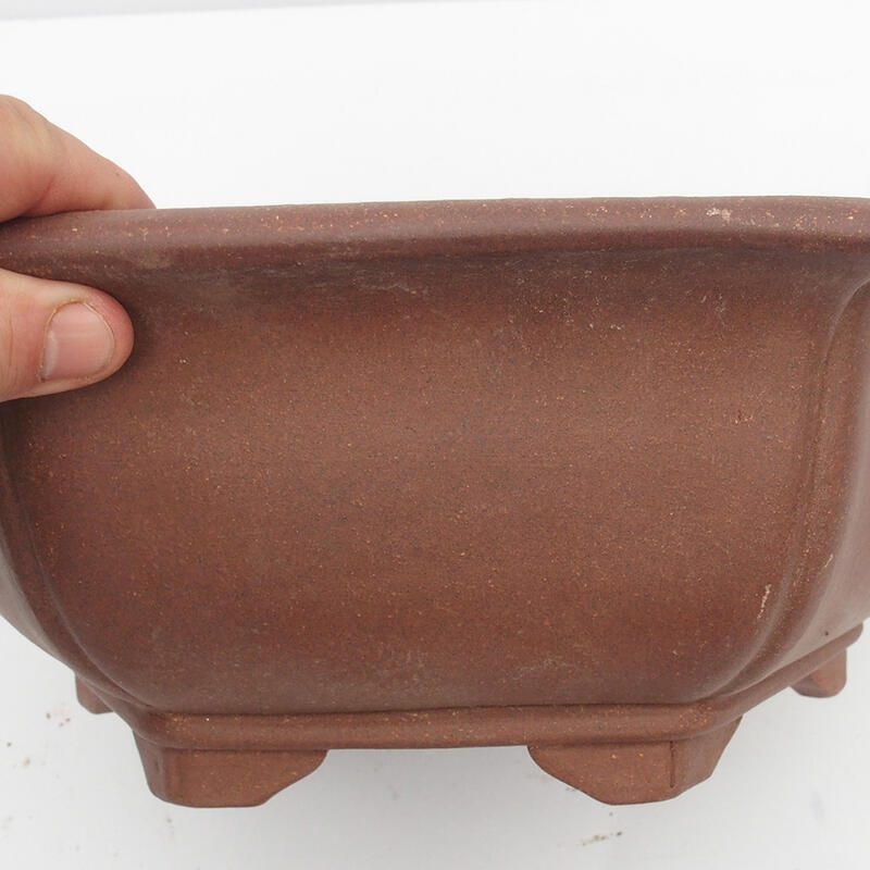 Bonsai bowl 34 x 31 x 12 cm - Japanese quality