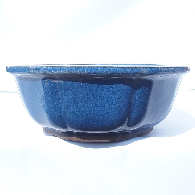 Bonsai bowl 36 x 36 x 13 cm color blue