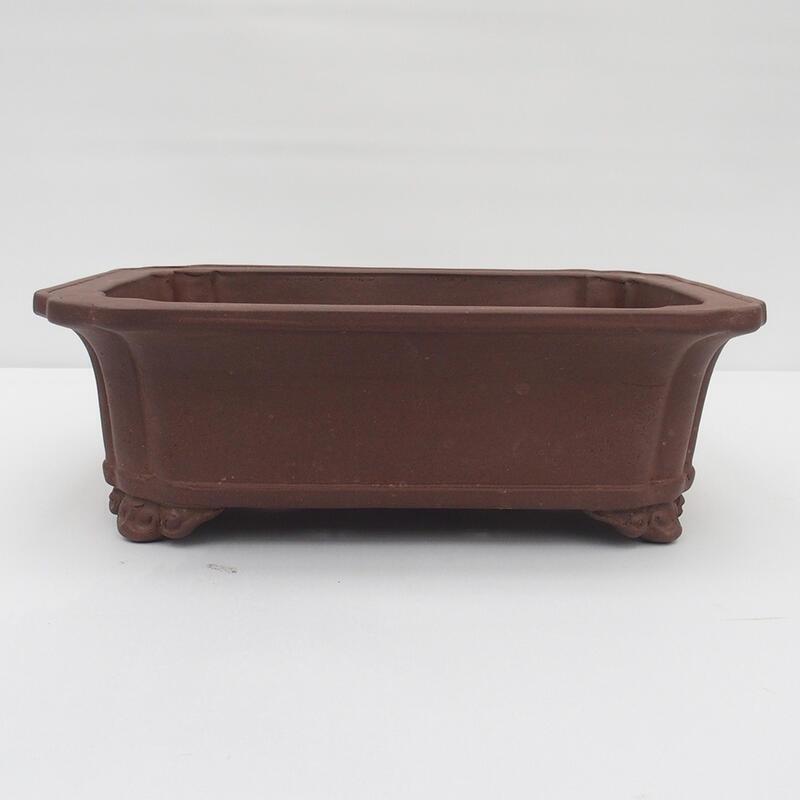 Bonsai bowl 37 x 28.5 x 12.5 cm - Japanese quality