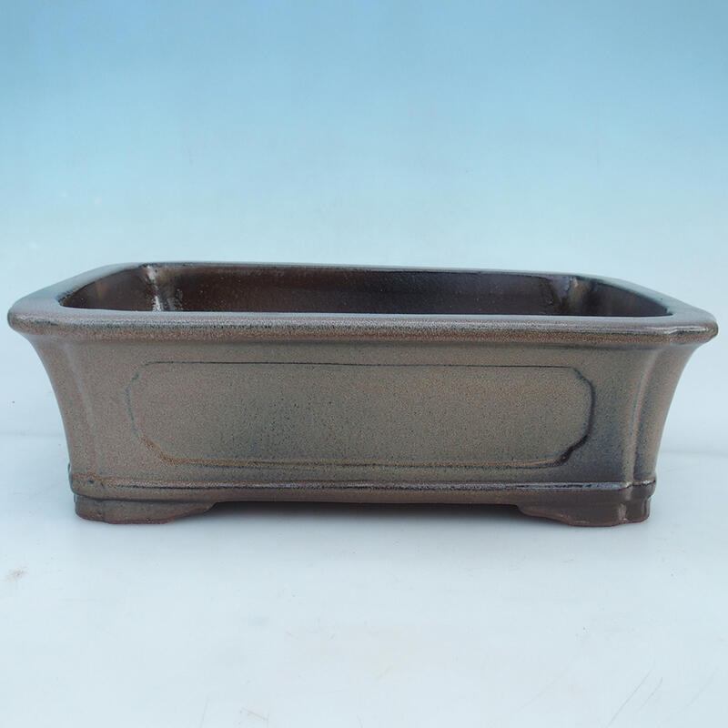 Bonsai bowl 41 x 28 x 12.5 cm, color brown - pallet transport only