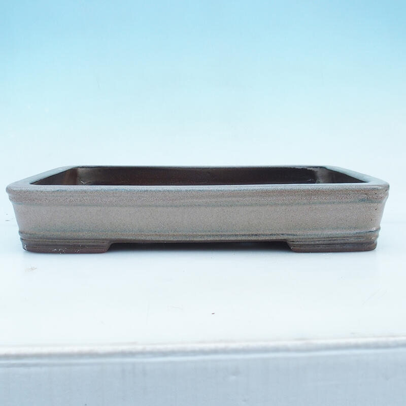 Bonsai bowl 41 x 28 x 7 cm, color beige