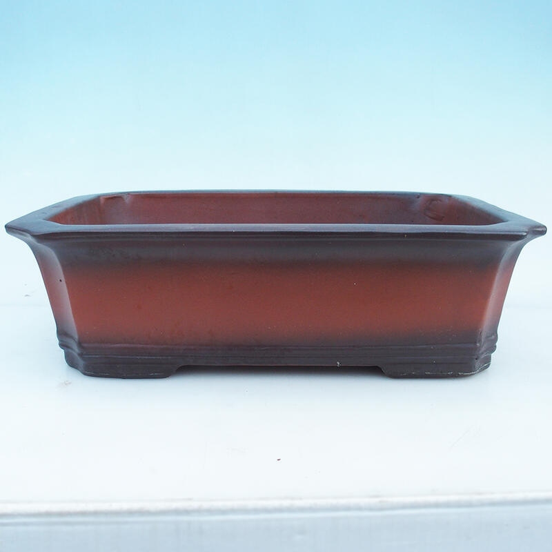 Bonsai bowl 42 x 29 x 12.5 cm, brick color - pallet transport only