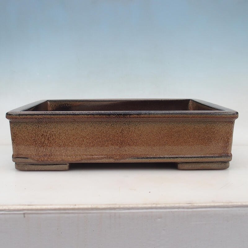 Bonsai bowl 42 x 33 x 11 cm, color brown - pallet transport only