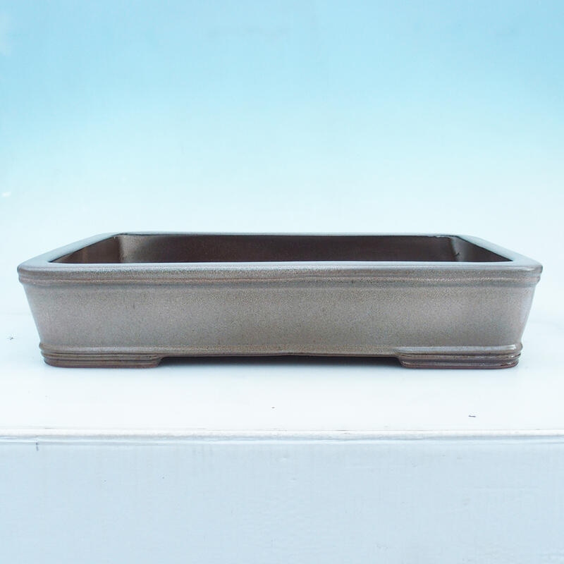 Bonsai bowl 51 x 34 x 10.5 cm, color beige - pallet transport only