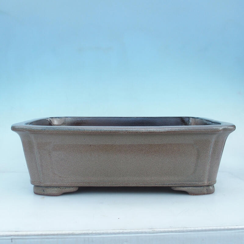 Bonsai bowl 51 x 35.5 x 16 cm, color brown - pallet transport only