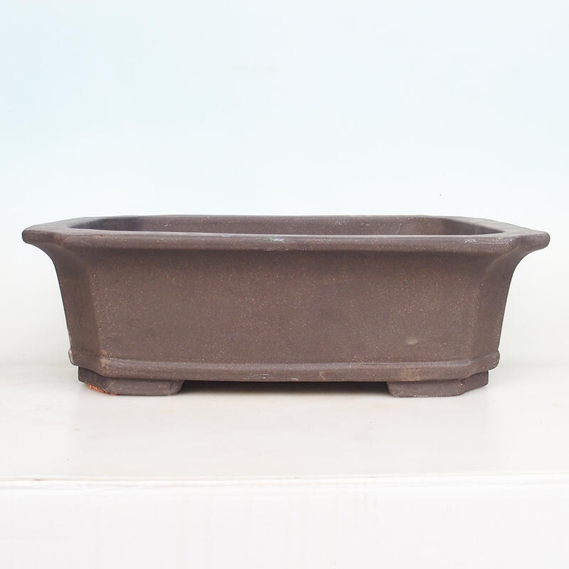 Bonsai bowl 51 x 38 x 15 cm, natural color