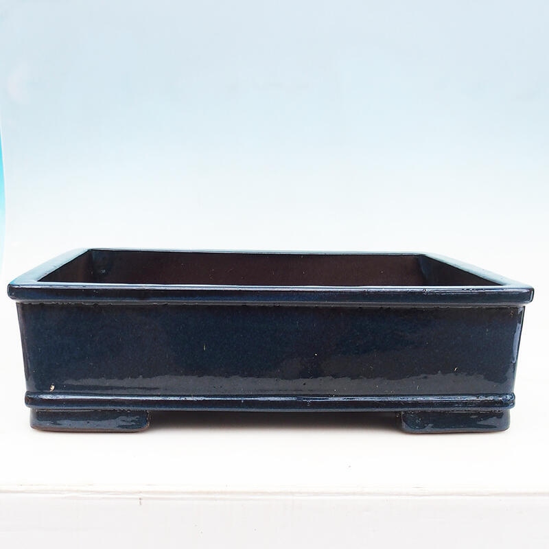 Bonsai bowl 52 x 41 x 15 cm, color blue - pallet transport only