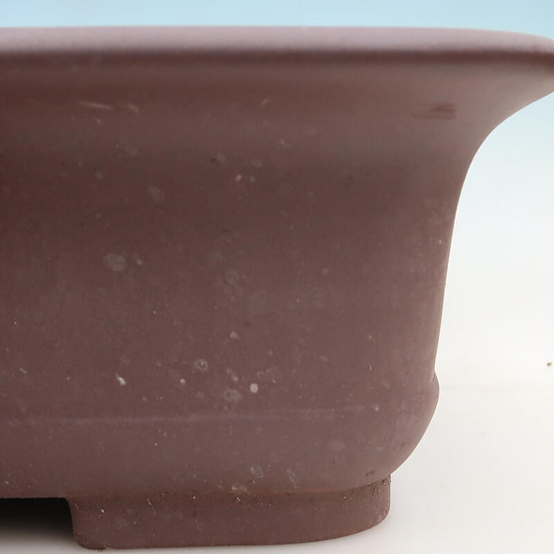 Bonsai bowl 60 x 45 x 14.5 cm, color brown