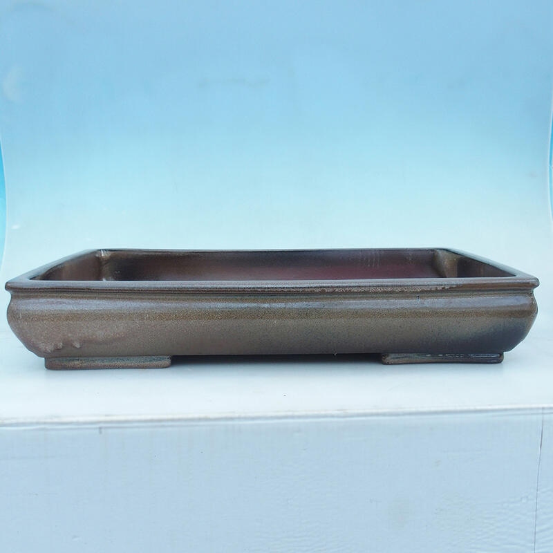 Bonsai bowl 61 x 41 x 11 cm, color brown - pallet transport only