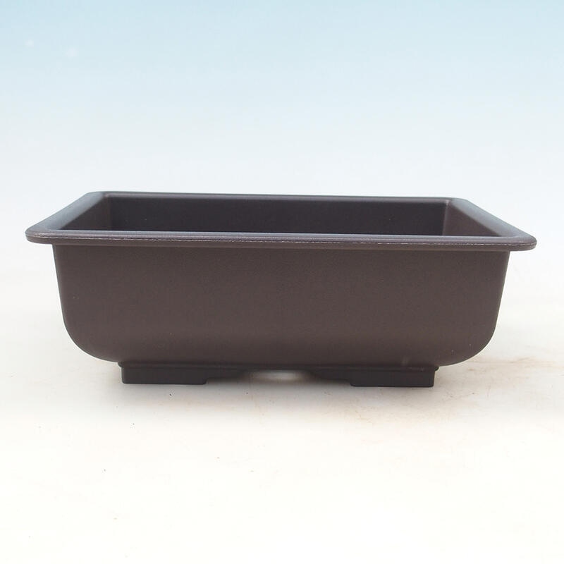 Bonsai bowl plastic MP-2vacl Brown - 21.5 x 15.5 x 7.5 cm