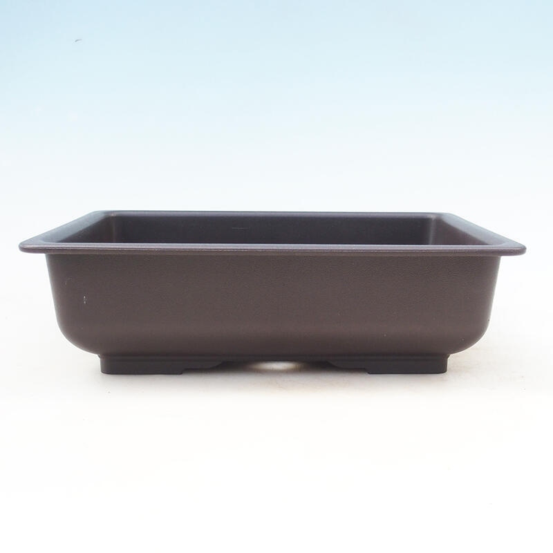 Bonsai plastic bowl MP-5