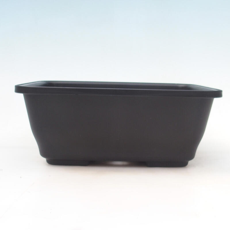 Bonsai bowl plastic MP-9 black - 23 x 19 x 9 cm