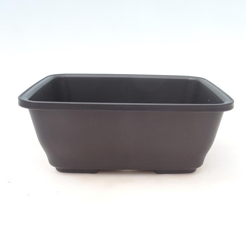 Bonsai bowl plastic MP-9 black - 23 x 19 x 9 cm