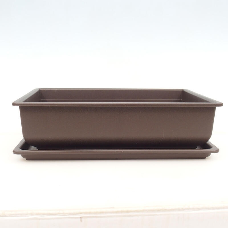 Bonsai bowl + saucer plastic MP-6 - 40 x 30 x 10 cm