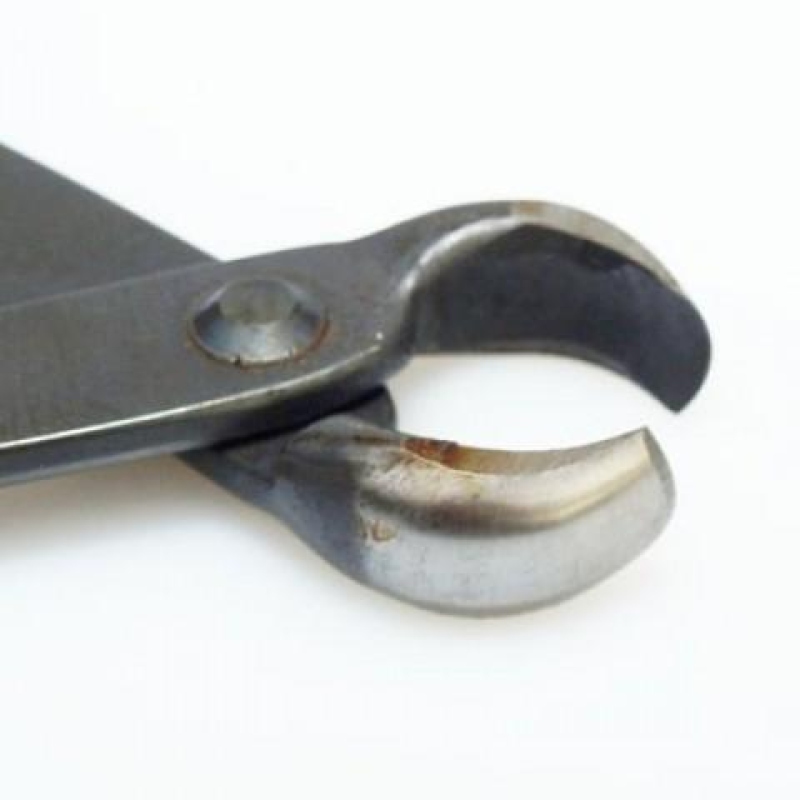 Bonsai Tools - Pliers front 175 mm