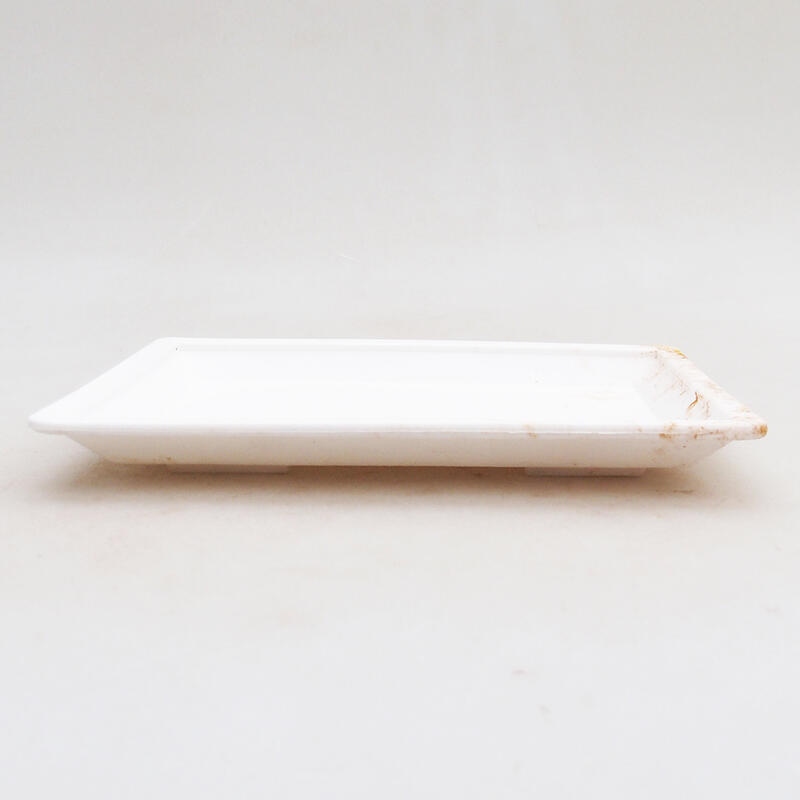 Bonsai saucer plastic PP-1 white 15 x 11 x 1.8 cm