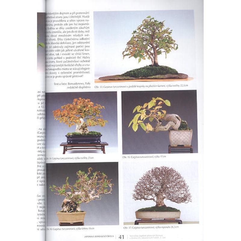 Bonsai and Japanese Gardens No.63