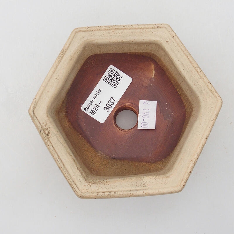 Ceramic bonsai bowl 10.5 x 10 x 4 cm, color beige