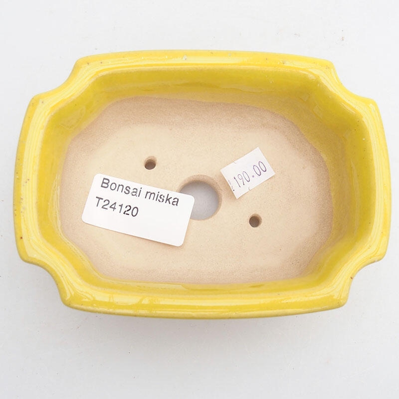 Ceramic bonsai bowl 11.5 x 8.5 x 4 cm, color yellow