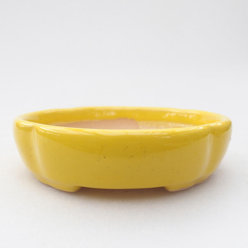 Ceramic bonsai bowl 11 x 11 x 3 cm, colour yellow