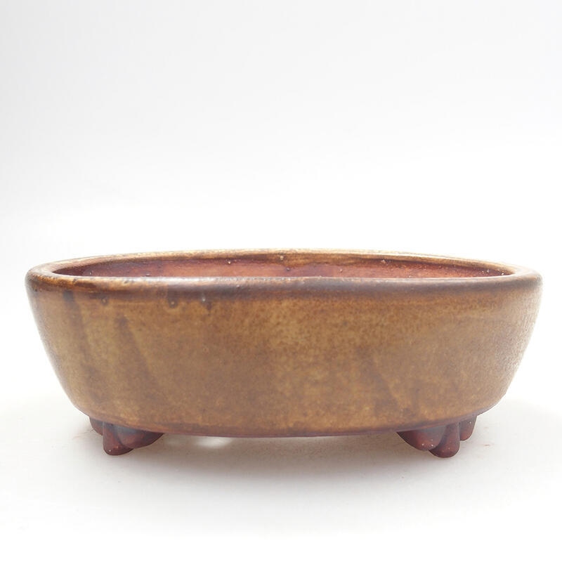 Ceramic bonsai bowl 12.5 x 10.5 x 4 cm, color brown