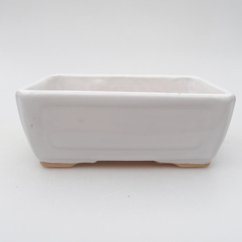 Ceramic bonsai bowl 12.5 x 9.5 x 4.5 cm, color white