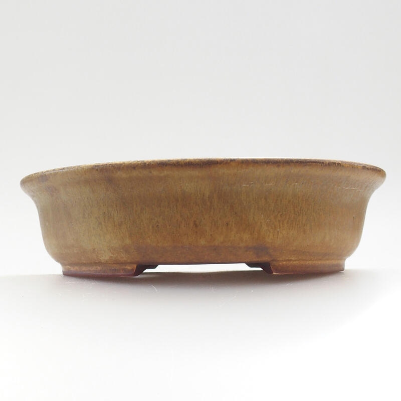 Ceramic bonsai bowl 14 x 13 x 4 cm, color green