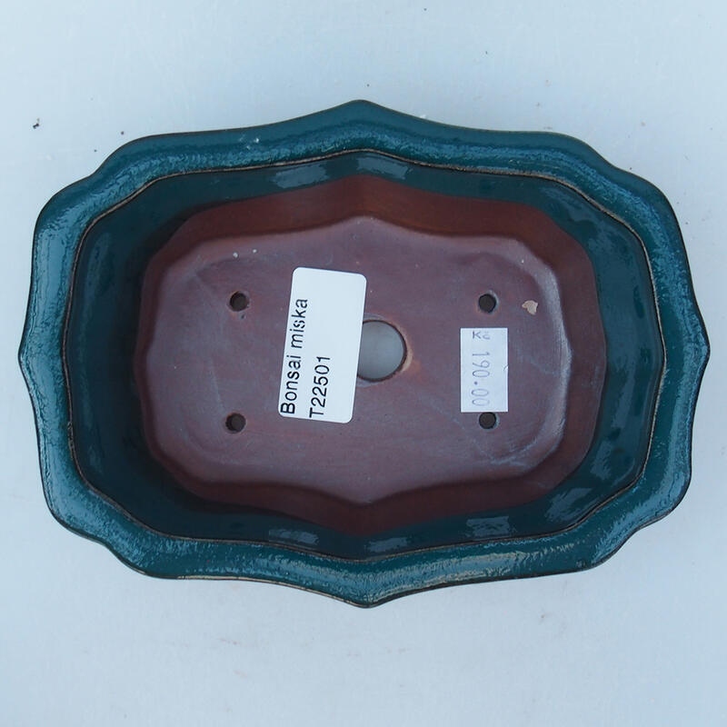 Ceramic bonsai bowl 15.5 x 11.5 x 4.5 cm, color green