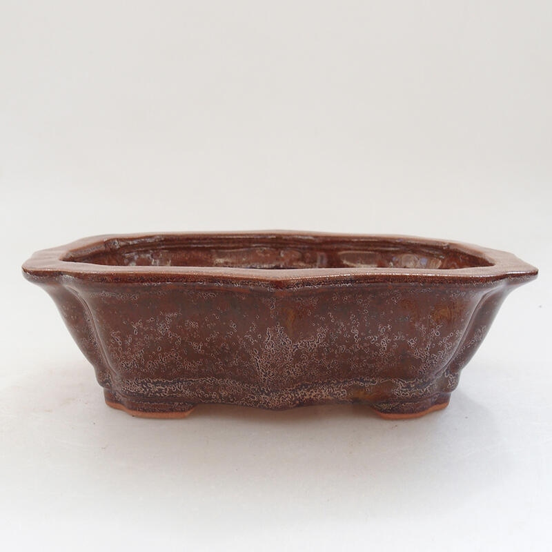 Ceramic bonsai bowl 15.5 x 11 x 4.5 cm, color brown