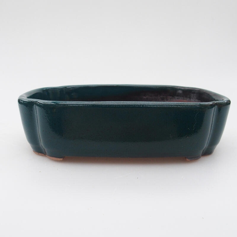 Ceramic bonsai bowl 15.5 x 11 x 4 cm, color green