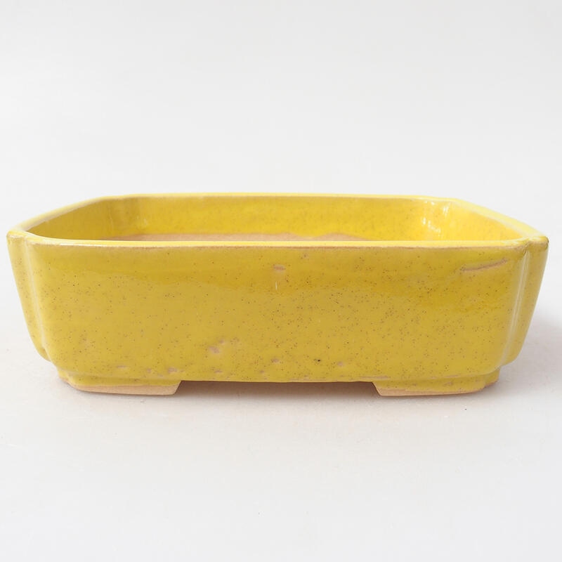 Ceramic bonsai bowl 15.5 x 12 x 4.5 cm, color yellow