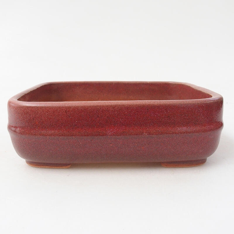 Ceramic bonsai bowl 15 x 12.5 x 4.5 cm, wine color