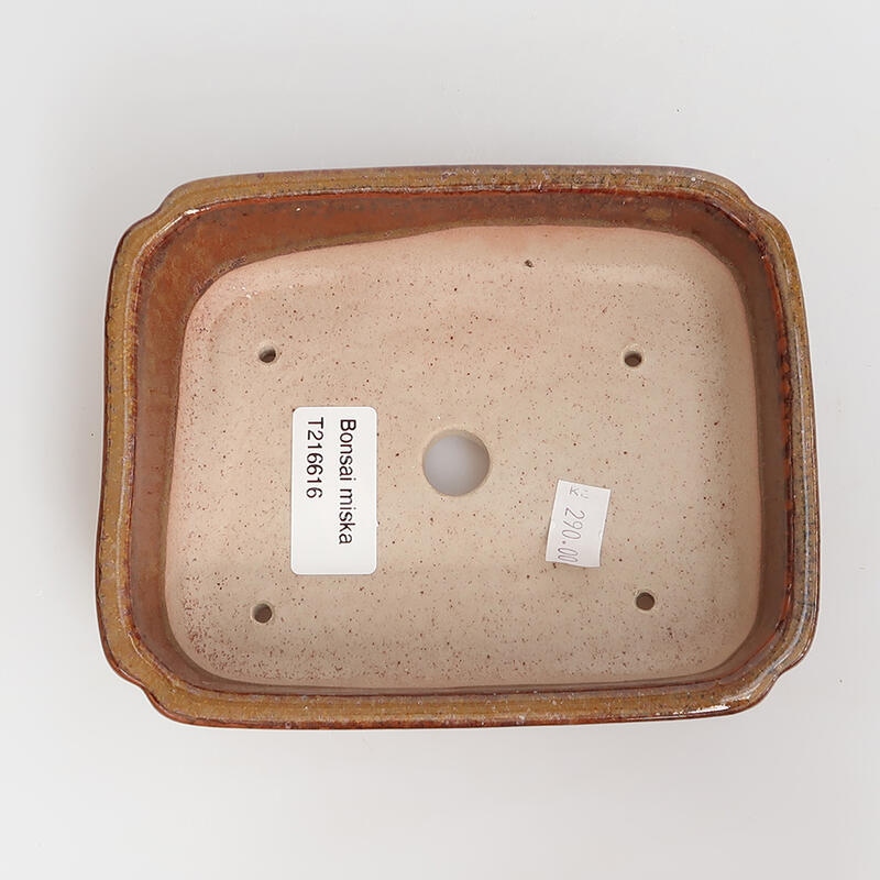 Ceramic bonsai bowl 15 x 12 x 4 cm, color brown