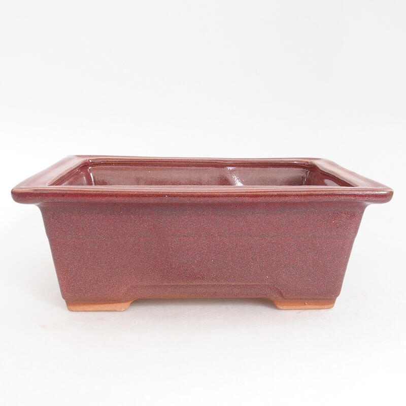 Ceramic bonsai bowl 16 x 12 x 6 cm, wine color