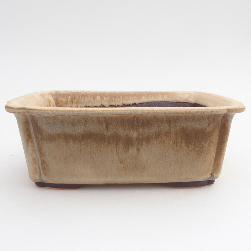 Ceramic bonsai bowl 17,5 x 13 x 6 cm, colour beige