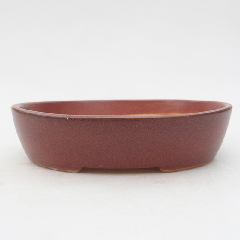 Ceramic bonsai bowl 17.5 x 14.5 x 4 cm, wine color