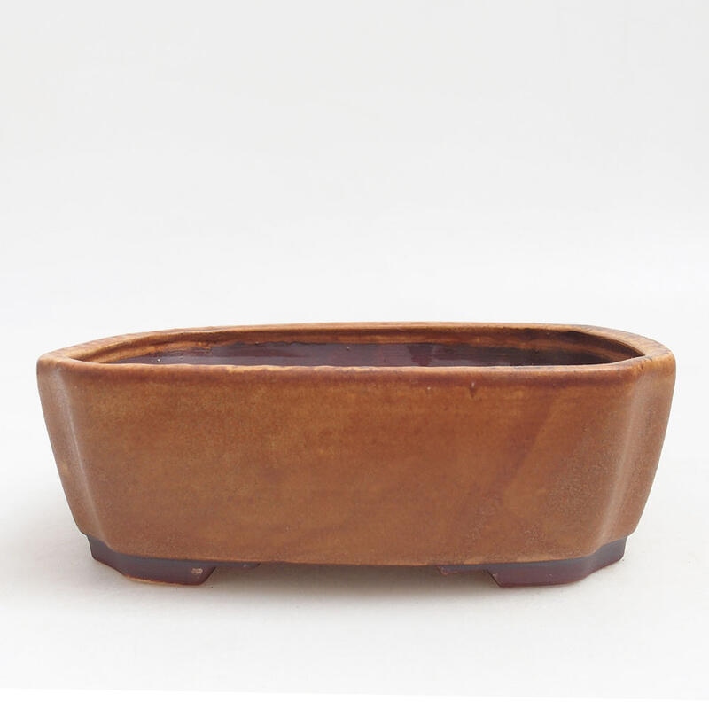 Ceramic bonsai bowl 17.5 x 14.5 x 5.5 cm, color brown