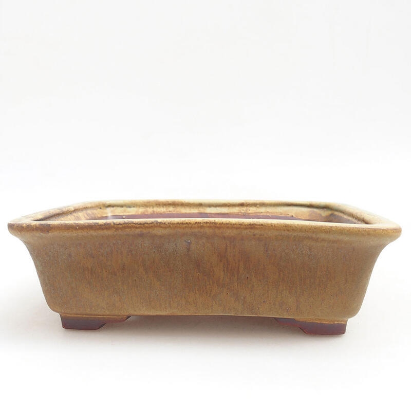 Ceramic bonsai bowl 17.5 x 14.5 x 5.5 cm, color green