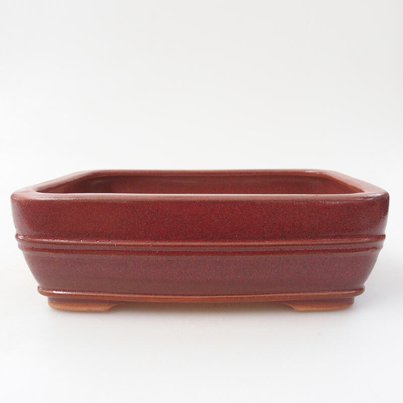 Ceramic bonsai bowl 17 x 12.5 x 5.5 cm, wine color