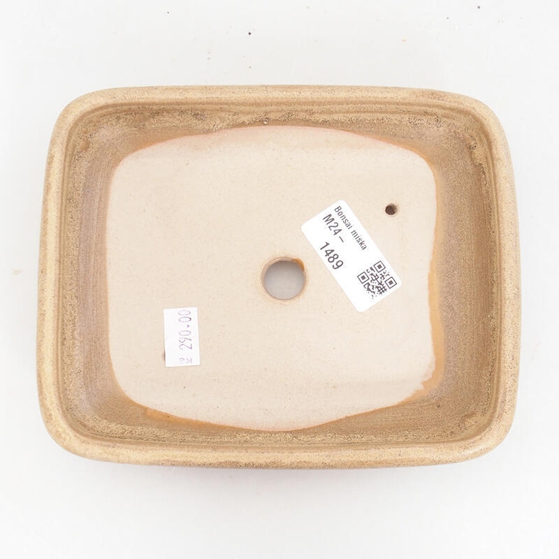 Ceramic bonsai bowl 17 x 13.5 x 3.5 cm, color beige