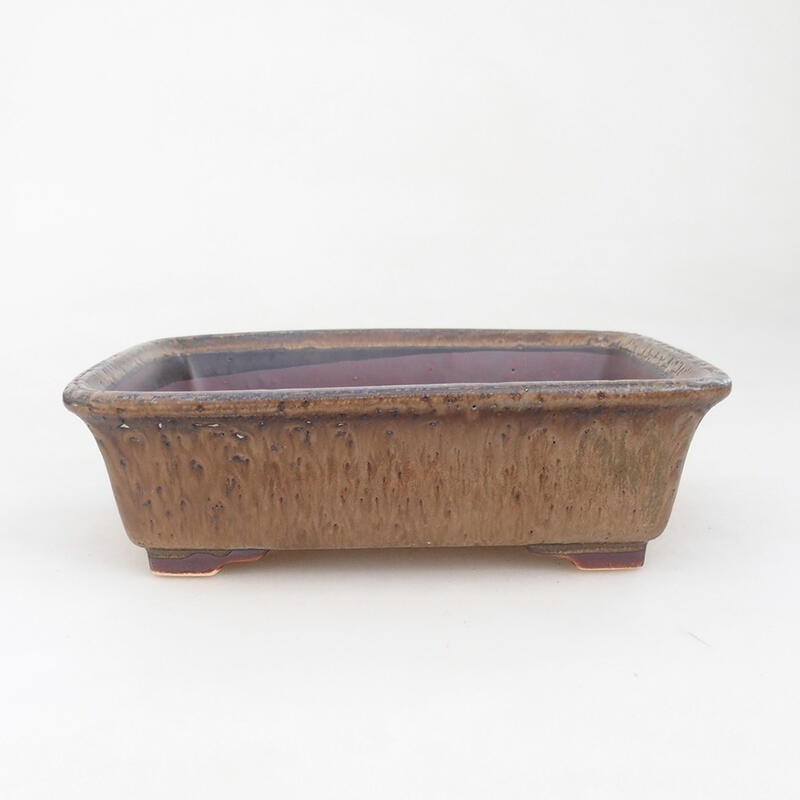 Ceramic bonsai bowl 17 x 14 x 5.5 cm, brown color