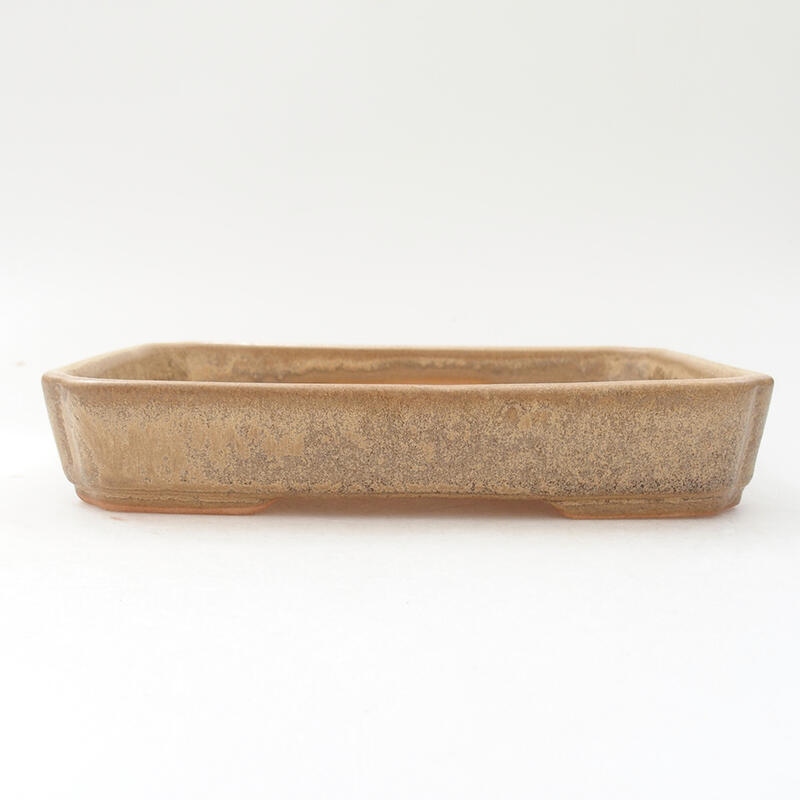 Ceramic bonsai bowl 18 x 13.5 x 3.5 cm, color beige