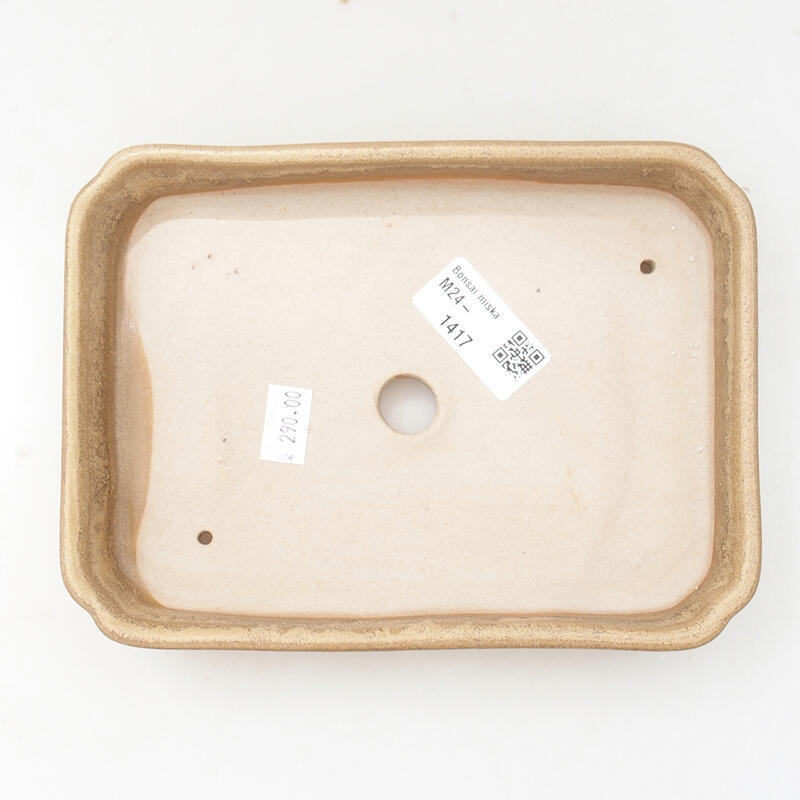 Ceramic bonsai bowl 18 x 13.5 x 3.5 cm, color beige