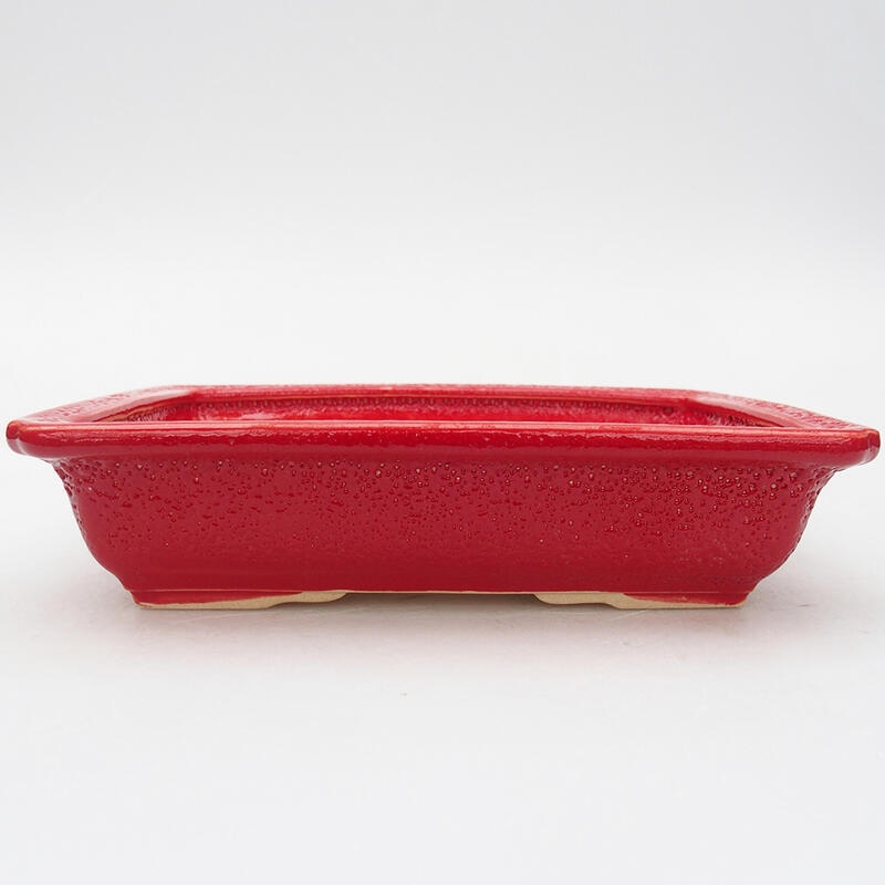 Ceramic bonsai bowl 18 x 13.5 x 4.5 cm, color red