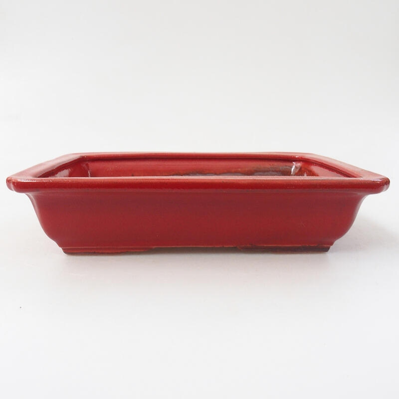 Ceramic bonsai bowl 18 x 13.5 x 4 cm, color red