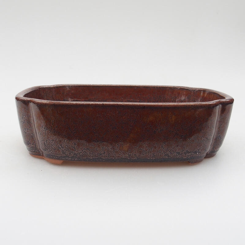 Ceramic bonsai bowl 18 x 13 x 5 cm, color brown