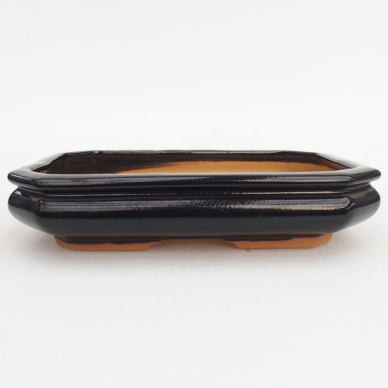 Ceramic bonsai bowl 19 x 13,5 x 4 cm, colour black