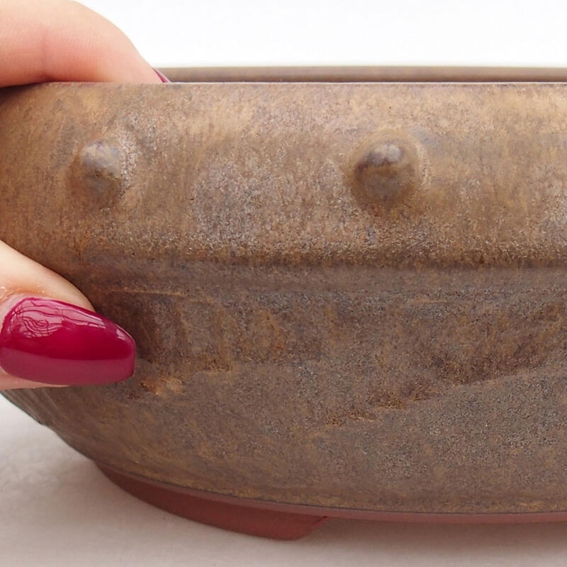 Ceramic bonsai bowl 19 x 19 x 7 cm, brown color