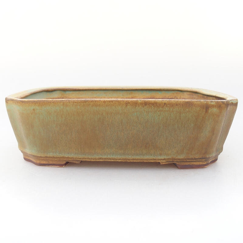 Ceramic bonsai bowl 21.5 x 18 x 6 cm, green